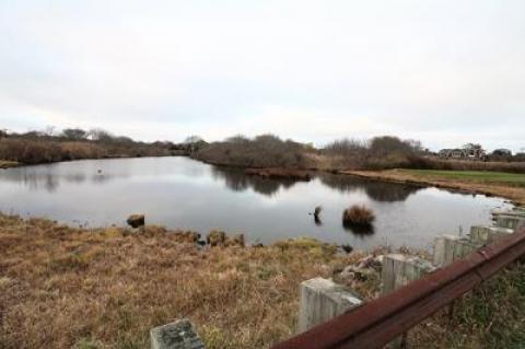 The East Hampton Town Trustees are taking a skeptical view of the Maidstone Club’s proposal to construct a bridge that would span a narrow section of Hook Pond in East Hampton.