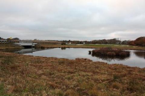 The small north part of Hook Pond, separated from the south by Dunemere Lane, is bordered by the best and most diverse freshwater wetlands of any that surround the pond.