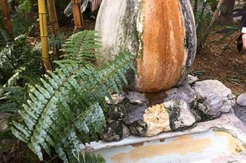 The urinal from the old Sloppy Joe’s has found a place in the Hemingway garden.