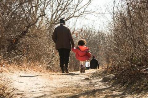 There are three kinds of recreational walking: fast steady walking, group walking with a guide, and walking by yourself or with another while studying the ground, sky, trees, and maybe water.