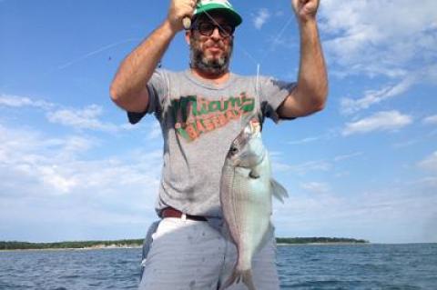 It’s a keeper! Eric Firestone hoisted this insanely large porgy from Gardiner’s Bay yesterday morning.