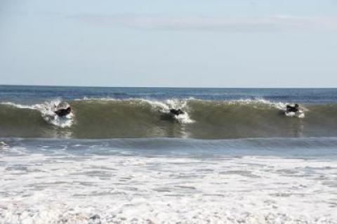 Hard ocean swells for the past few weeks have left surfcasters dismayed but spelled pure joy for surfers, who are seeing the best waves of the year.