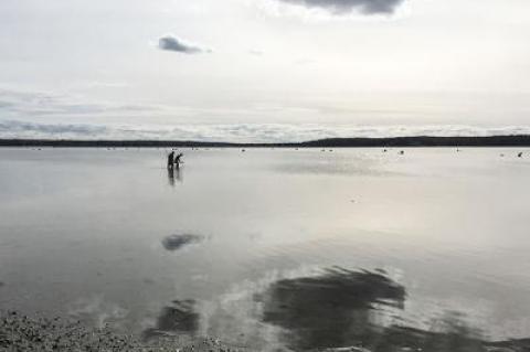 Distant scallopers searched the waters of Three Mile Harbor on Sunday. The East Hampton Town Trustees broke with tradition this year to allow a recreational harvest a day before the commercial boats began work.