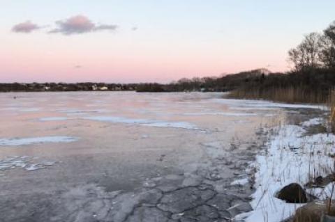 Almost all of the South Fork’s freshwater bodies, including the large ones like Fort Pond in Montauk, are frozen this week.