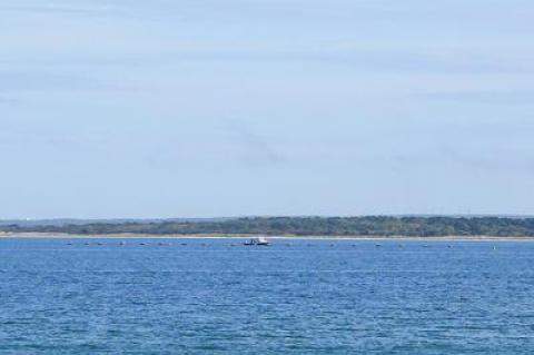 Distant oyster cages in Gardiner's Bay off Amagansett have prompted a lawsuit by the Devon Yacht Club claiming that officials acted improperly in granting a series of aquaculture leases last year.