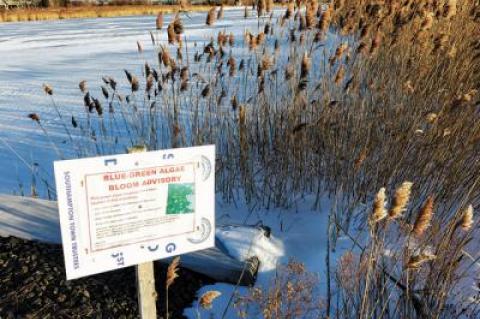 The Sagaponack Village Board will be keeping track of how upgraded septic systems function in East Hampton and Southampton and whether such systems can help protect water quality at places like Sagg Pond.