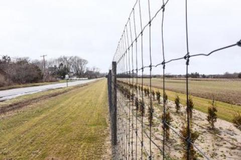 Complaints about deer fences, such as one recently installed on Town Line Road in Wainscott, and changes to the way permit requests for them are handled, dominated discussion at an East Hampton Town Board meeting last Thursday.