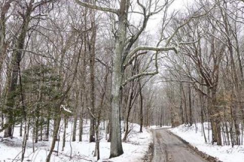 Stony Hill Road, Amagansett, in the heart of an area that some believe should receive greater protection to assure clean groundwater supplies.