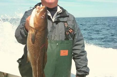 Frank Sabia of Amagansett held a codfish taken last week aboard the charter boat Blue Fin IV out of Montauk.