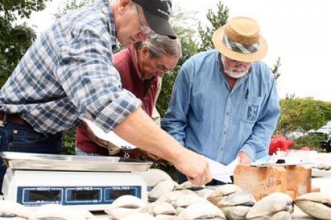 John Aldred of the East Hampton Town Trustees, center, with Charlie Niggles and Terry O’Riordan, weighed the  contestants in the trustees’ Largest Clam Contest on Sunday.