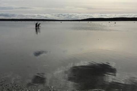 Recalling that a Sunday opening day to scallop season in 2017 was “like a scallop festival,” as Rick Drew described it, the East Hampton Town Trustees voted to open the season on a Sunday (Nov. 11) this year as well.