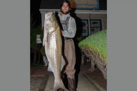 Nick Apostolides of Montauk landed this 41-pound striped bass to take over the lead in the Montauk Locals Surfcasting Striped Bass Tournament