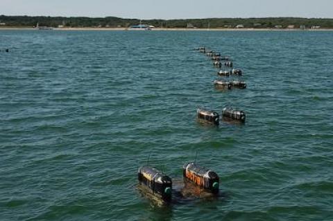 The floating cages used to grow oysters in Gardiner’s Bay in Amagansett are an eyesore and a navigational hazard, some people complained at a hearing last week on the Suffolk County Aquaculture Lease Program.