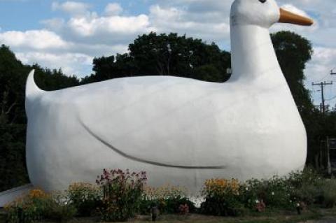 The Big Duck in Flanders gets 10,000 visitors a year, making it Suffolk County’s most popular historical site.