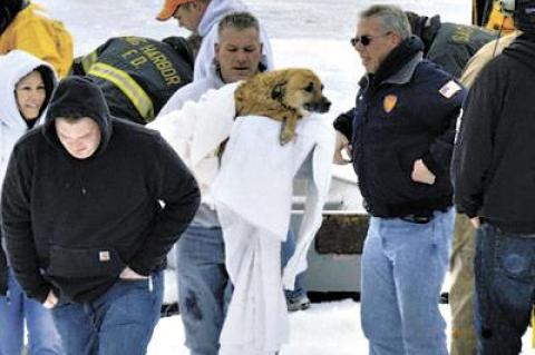 Members of the Sag Harbor Fire Department helped rescue a dog that fell through the ice in Noyac Bay on Saturday.