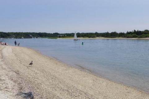 Three Mile Harbor, East Hampton, where a 45-year-old man reportedly collapsed on Sunday afternoon.