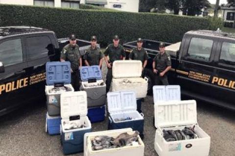 State D.E.C. officers with some of the estimated 1,000-plus fluke and sea bass they seized after checking a party boat in Lake Montauk on Aug. 31. The fish were donated to charity, according to a D.E.C. spokeswoman.