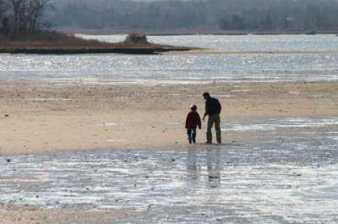 The State Department of Environmental Conservation has reclassified 14 acres of Accabonac Harbor, closing it to shellfishing from May 1 through Nov. 30.