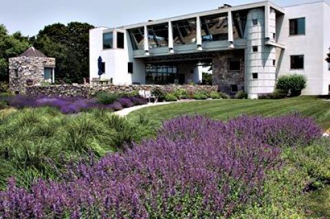 The house, designed by J. Robert Barnes, is at the base of the dunes. Catmint and lavender fill the transition between it and the meadow.