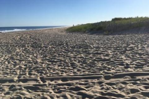 Beachgoers pulled a woman's body from the ocean off Beach Lane in Wainscott Saturday afternoon.