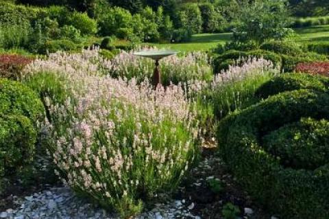 Bridge Gardens, a hidden gem off Mitchell Lane in Bridgehampton, has announced new programs and daily year-round open hours.