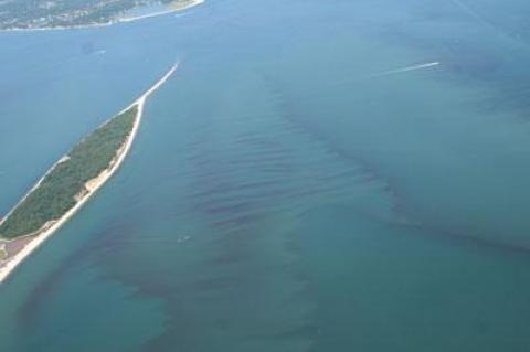 Harmful “brown” tides, created by algae blooms from high levels of nitrogen, have been found in waterways such as Shinnecock Bay and the Long Island South Shore Estuary.