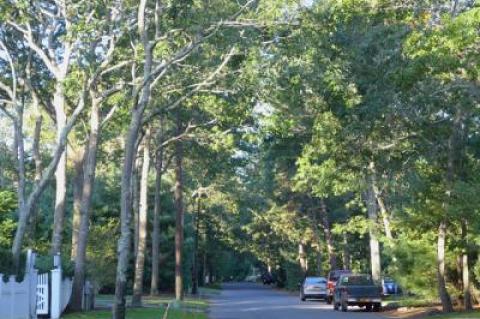 Cowhill Lane in Wainscott is part of an area in which tests of home drinking water wells have been recommended to check for traces of a potentially harmful industrial chemical.