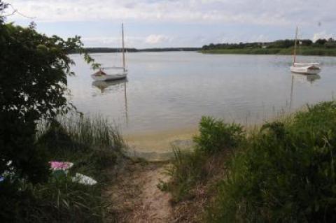 The trustees have advised people who use Georgica Pond to keep children and pets away from algae blooms and scum and to rinse with clean water if they are exposed.