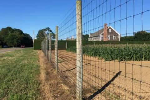 The Sagaponack Village code allows for deer fences on agricultural properties, but some say they can interrupt scenic vistas. The village board is mulling how to reconcile the conflict.