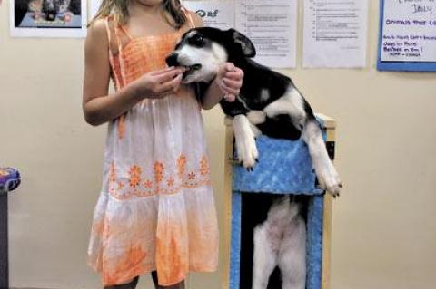 Anna Petrie fed Casey, who stood in the Bailey chair that she and her father made.