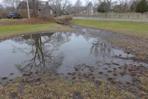 A man-made swale behind the East Hampton Methodist Church had an elevated bacteria level in a January water test by Concerned Citizens of Montauk.