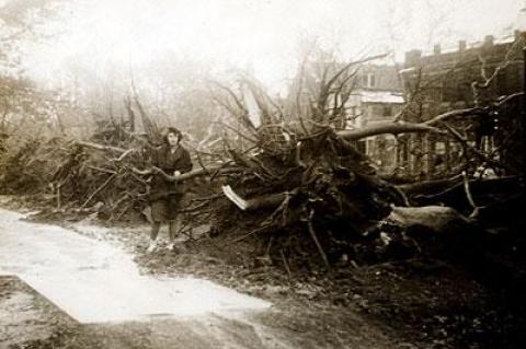 East Hampton's Main Street lost 164 trees during the 1938 Hurricane as houses, vehicles, and other property sustained heavy damage.