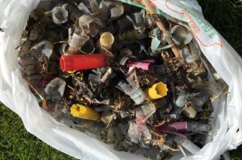 Phyllis Morgano gathered up these shell casing during one morning walk on Navy Road Beach.