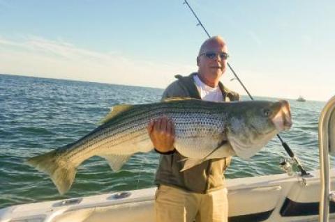 Bruce Johnson caught this supersize striped bass near Montauk and safely released it to live another day.