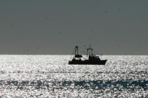 “If it all looks bad, it might be because they don’t have enough information,” Bonnie Brady of the Long Island Commercial Fishing Association said of the National Oceanic and Atmospheric Administration’s trawl surveys, which she believes are incomplete and therefore producing skewed data.