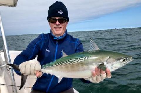 Edward Shugrue of East Hampton landed and released this false albacore at Montauk last week.