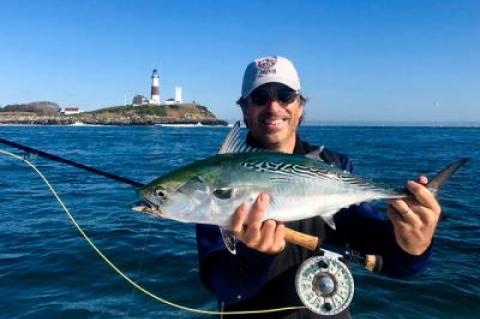 Luke Fichthorn landed and released this false albacore off Montauk Point.