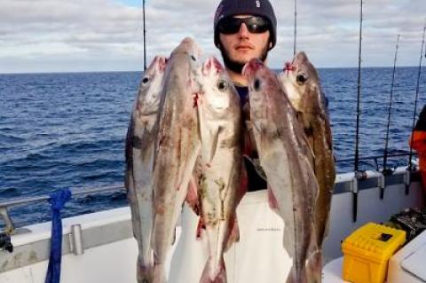 Haddock, not seen here in recent memory, have shown up south and east of Montauk of late. Brian Damm caught these on Saturday’s trip aboard the Miss Montauk II.