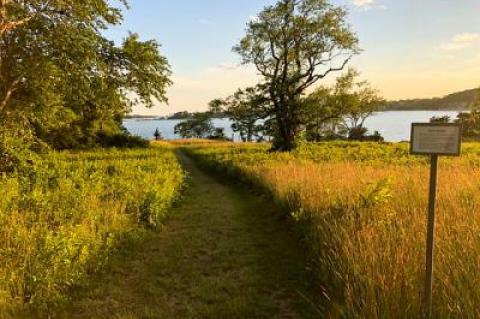 Open fields that used to be farmed, dense stands of trees, eagles and ospreys nesting, creeks, salt marshes, and kettle ponds aplenty at the Mashomack Preserve on Shelter Island give a glimpse of what this area must have looked like hundreds of years ago.