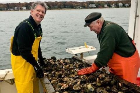 The opening day of scallop season in state waters was surprisingly promising, as Robert Cugini, left, and Ray Sperling discovered on Monday.