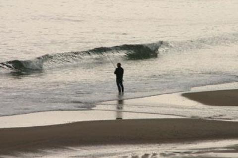 It might take a while for fishermen and striped bass to come together.