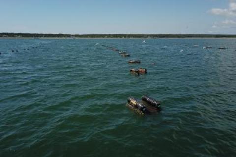 Oyster boxes in Gardiner’s Bay