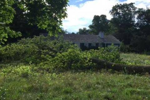 Southampton Town officials are taking over the maintenance of 65 Audubon Avenue in Bridgehampton. They property has overgrown vegetation and an improperly secured pool filled with stagnant water.