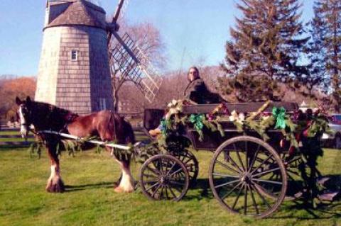 Bubba’s days of appearing around East Hampton Town are over. The Clydesdale, here with his owner, Mary Lou Kaler, died late last month.