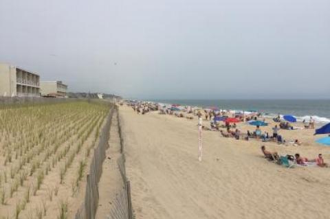 Local officials expected the sandbags, which are covered with three feet of sand, would be removed and the beach fully restored.