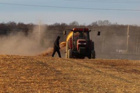 Straw was being laid on the field north of Amagansett's business district on Tuesday afternoon with the aid of a bale-shredding machine lent by Alex Balsam of Balsam Farms.