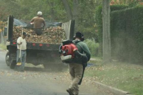 Powerful, but loud, leaf blowers have become an essential part of landscapers' equipment. The East Hampton Village Board has talked about limiting them in some way, after years of complaints from residents.