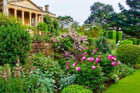 The Caplan Rose Cotswolds tour will visit Kiftsgate Court Gardens, whose centenary is being celebrated with a new book on its rich history and an exhibition at London’s Garden Museum.