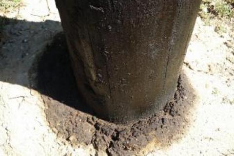 The soil around a PSEG pole on Town Lane