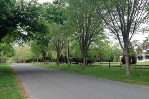 Lee Avenue in East Hampton Village is representative of a classic East Hampton Village style and sense of place that officials would like to see preserved.